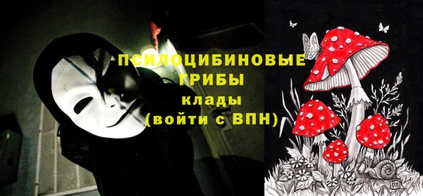тгк Карталы