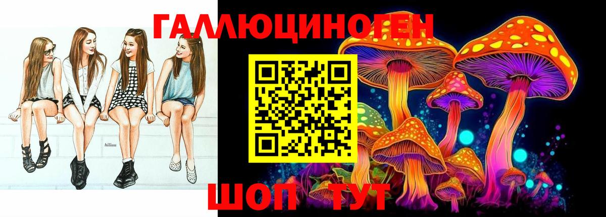 Псилоцибиновые грибы Psilocybe Нижний Новгород